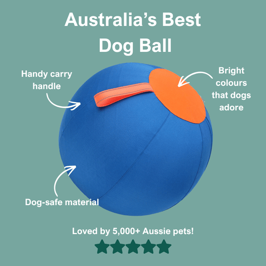 AdorePup™ Premium Giant Dog Ball