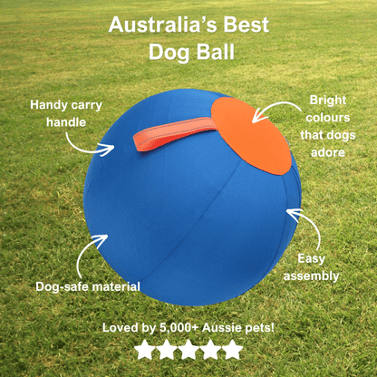 AdorePup™ Premium Giant Dog Ball