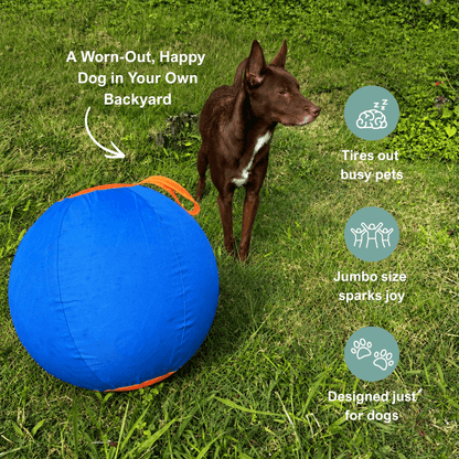 AdorePup™ Premium Giant Dog Ball