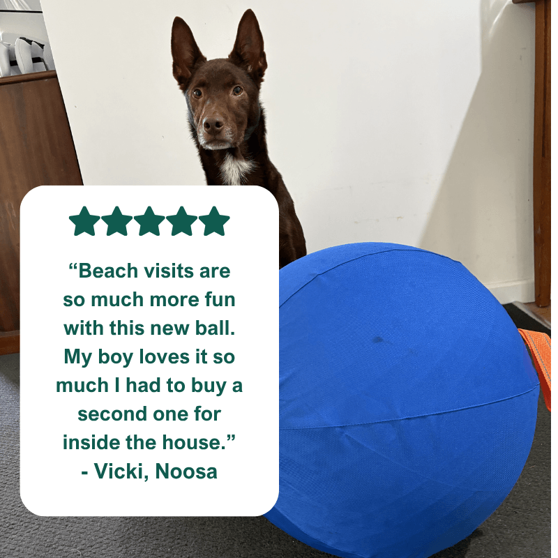 AdorePup™ Premium Giant Dog Ball