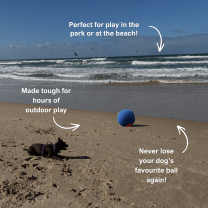 AdorePup™ Premium Giant Dog Ball