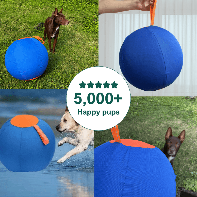 AdorePup™ Premium Giant Dog Ball
