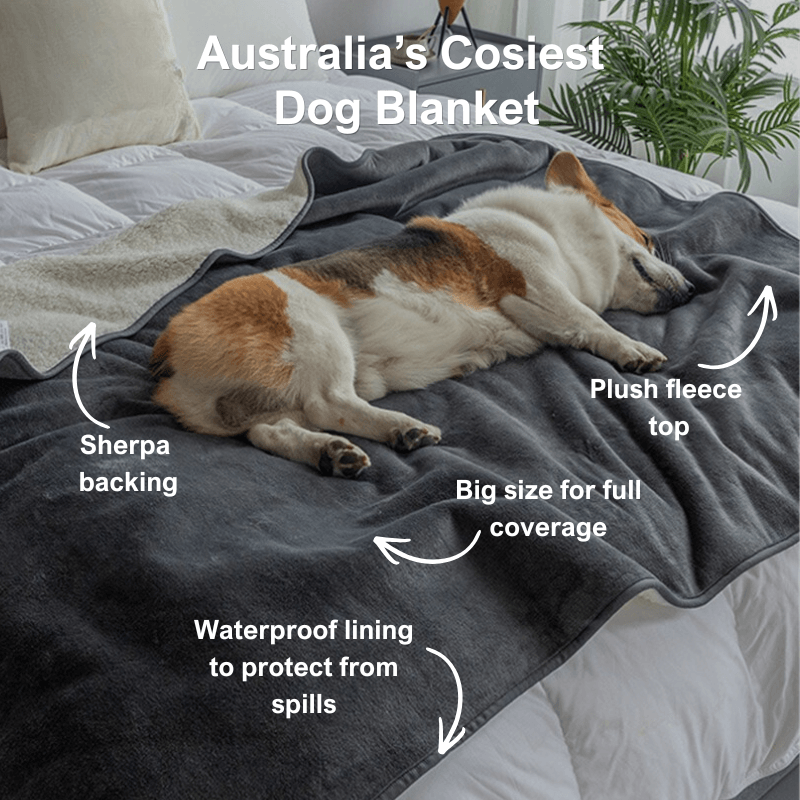AdorePup™ Waterproof Reversible Dog Blanket