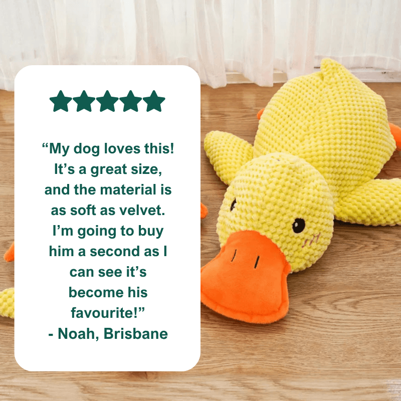 AdorePup™ Premium Calming Duck Toy