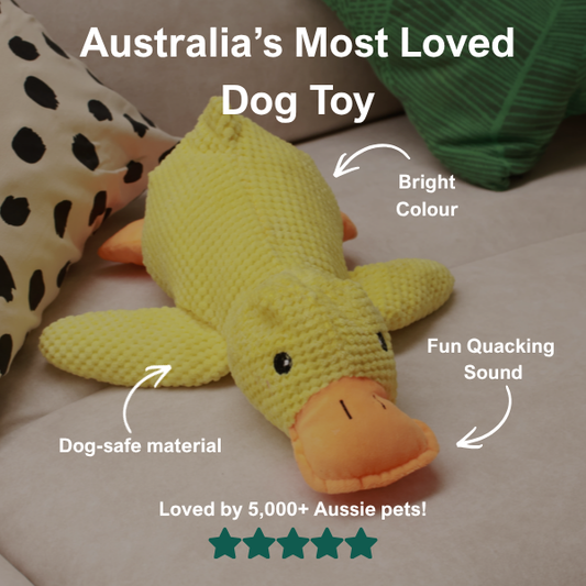 AdorePup™ Premium Calming Duck Toy