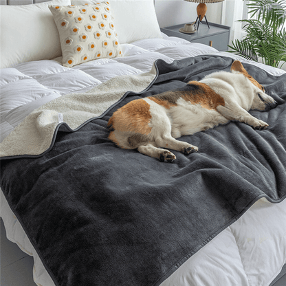 AdorePup™ Premium Bundle