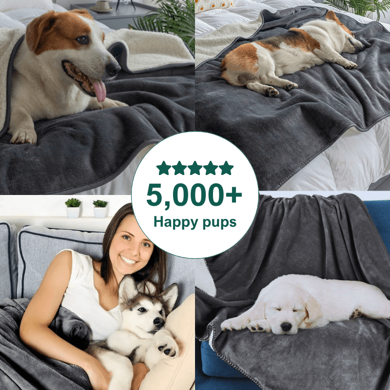 AdorePup™ Waterproof Reversible Dog Blanket