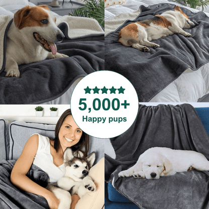AdorePup™ Waterproof Reversible Dog Blanket